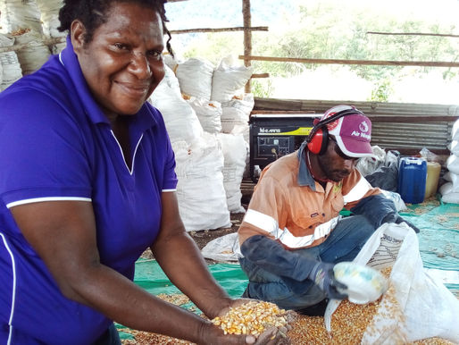 Women in Agriculture: Reflections from Papua New Guinea