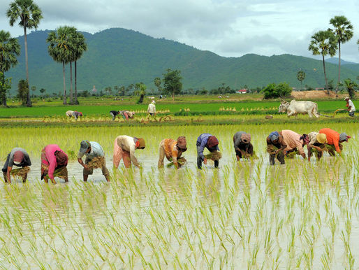 Cambodia Partnership for Sustainable Agriculture: Consultation meeting