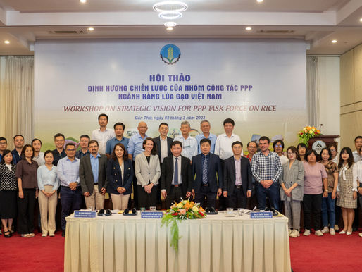 Viet Nam Unveils Multi-Stakeholder Taskforce for Sustainable Rice 