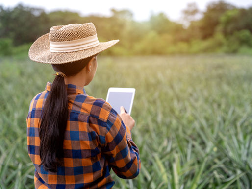 ‘In Dialogue with Women Agripreneurs’: Collaboration for Women Agripreneurs’ Empowerment